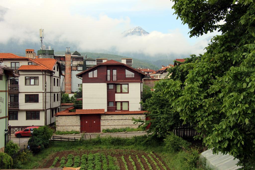 Guest House Sevda 반스코 외부 사진